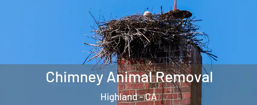 Chimney Animal Removal Highland - CA
